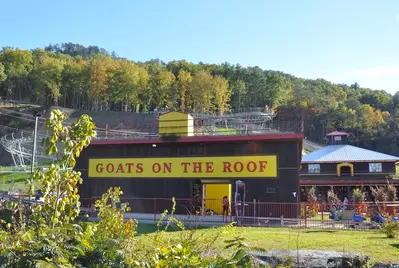 Goats on the Roof is one of the most unique things to do in Pigeon Forge