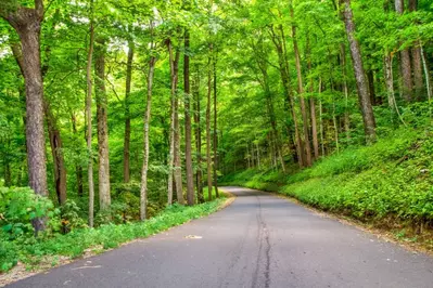 roaring fork motor nature trail is one of the best free things to do in the Smokies