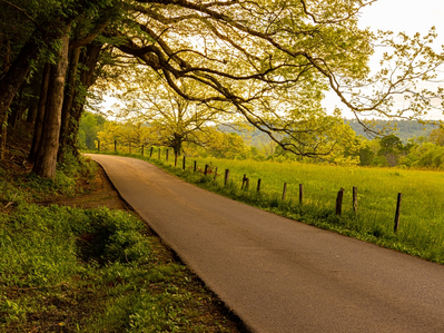 cades cove loop road is one of the top smoky mountain scenic drives
