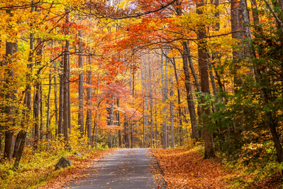 roaring fork motor nature trail is one of the top smoky mountain scenic drives