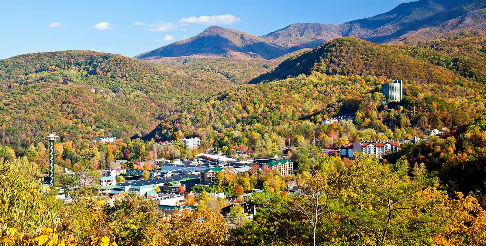 BLACK BEAR OVERLOOK