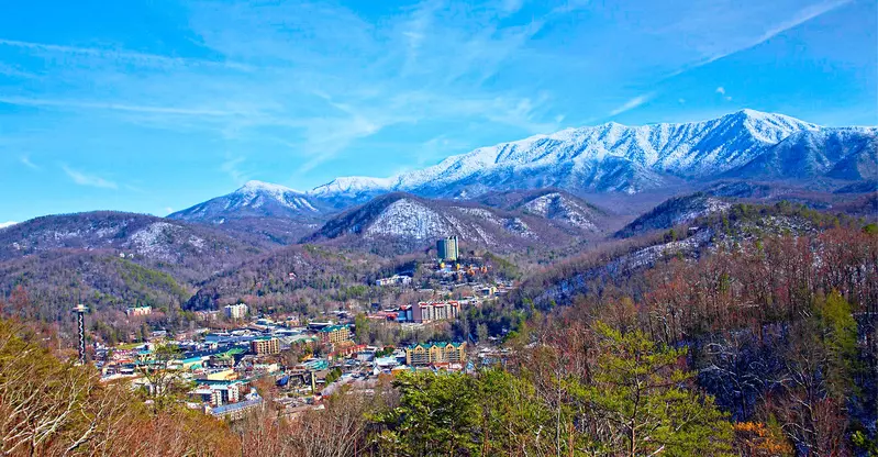 BLACK BEAR OVERLOOK