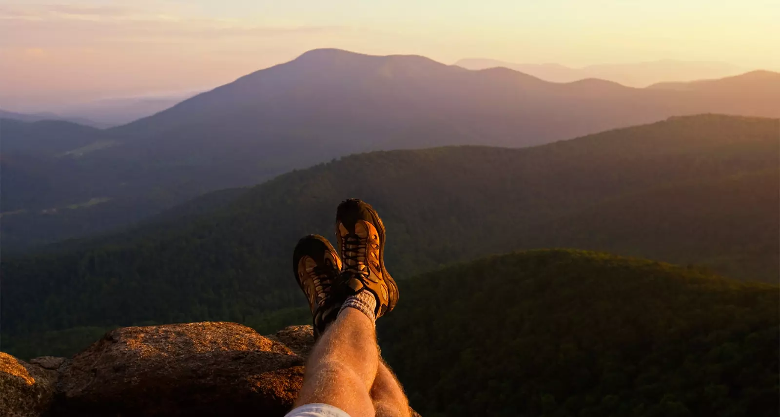 BLACK BEAR OVERLOOK