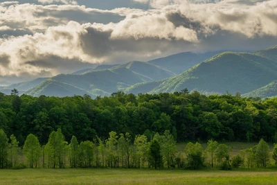 summer in the smokies