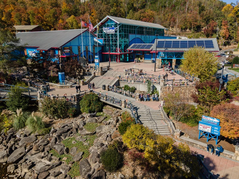 SUMMIT VISTA LODGE